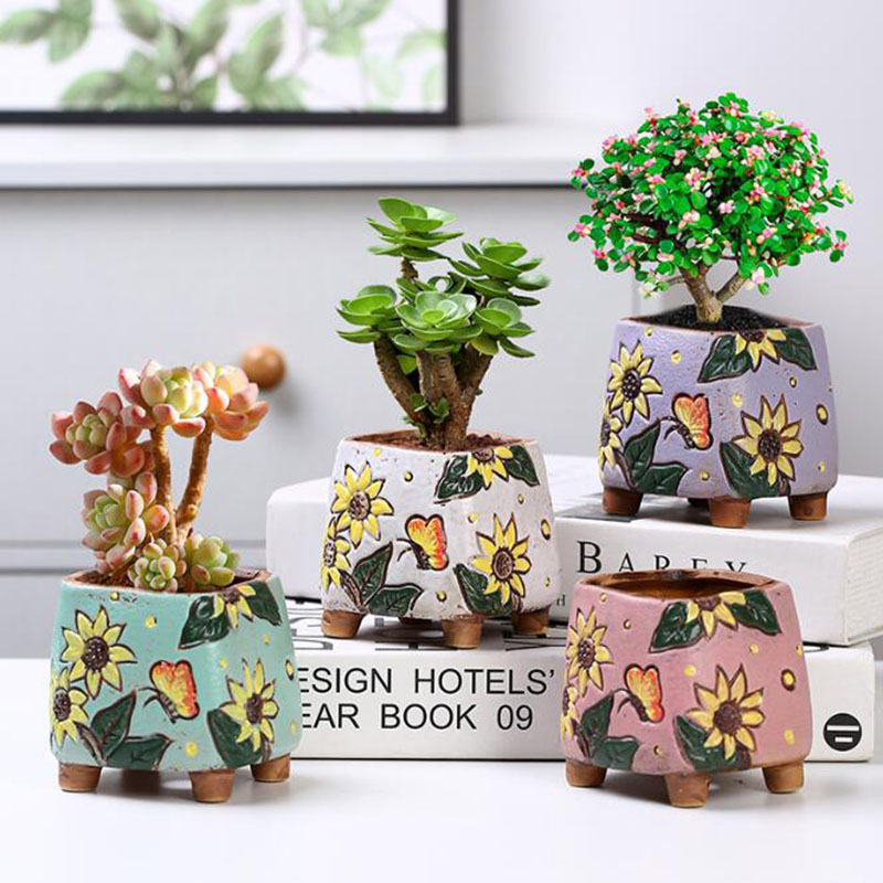 Donica na sukulenty w stylu ko – Desk Setup Plant recenzja i cena