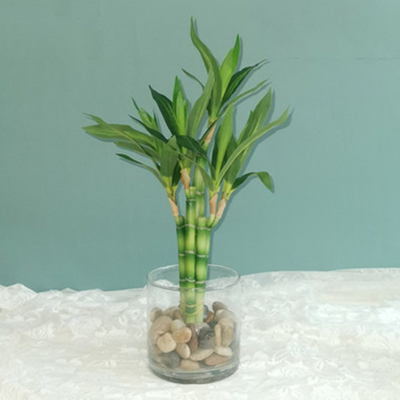Nowa 40cm sztuczna roślina Luc – Desk Setup Plant recenzja i cena