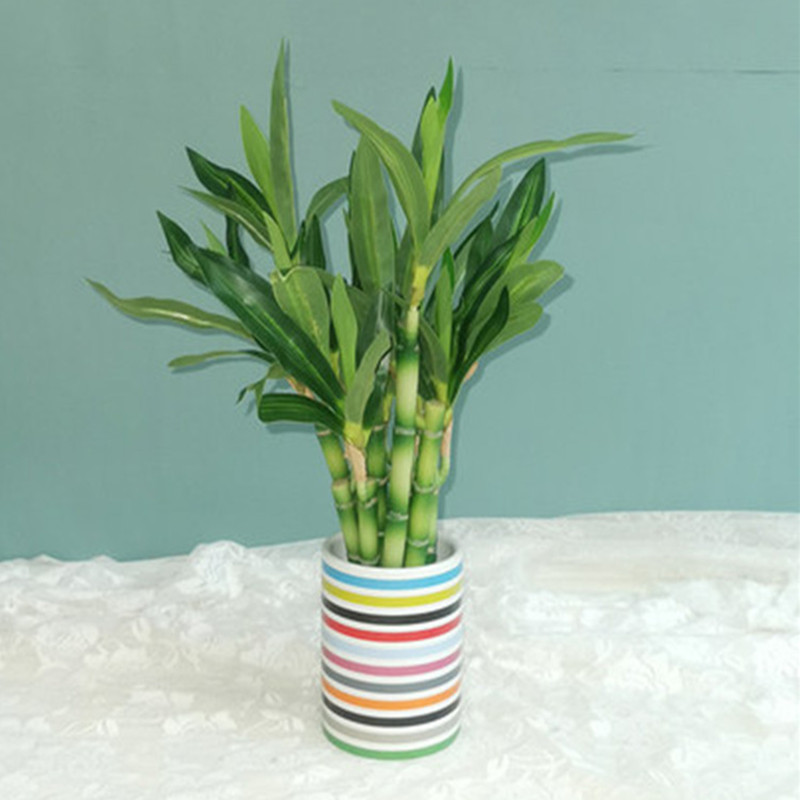Nowa 40cm sztuczna roślina Luc – Desk Setup Plant recenzja i cena