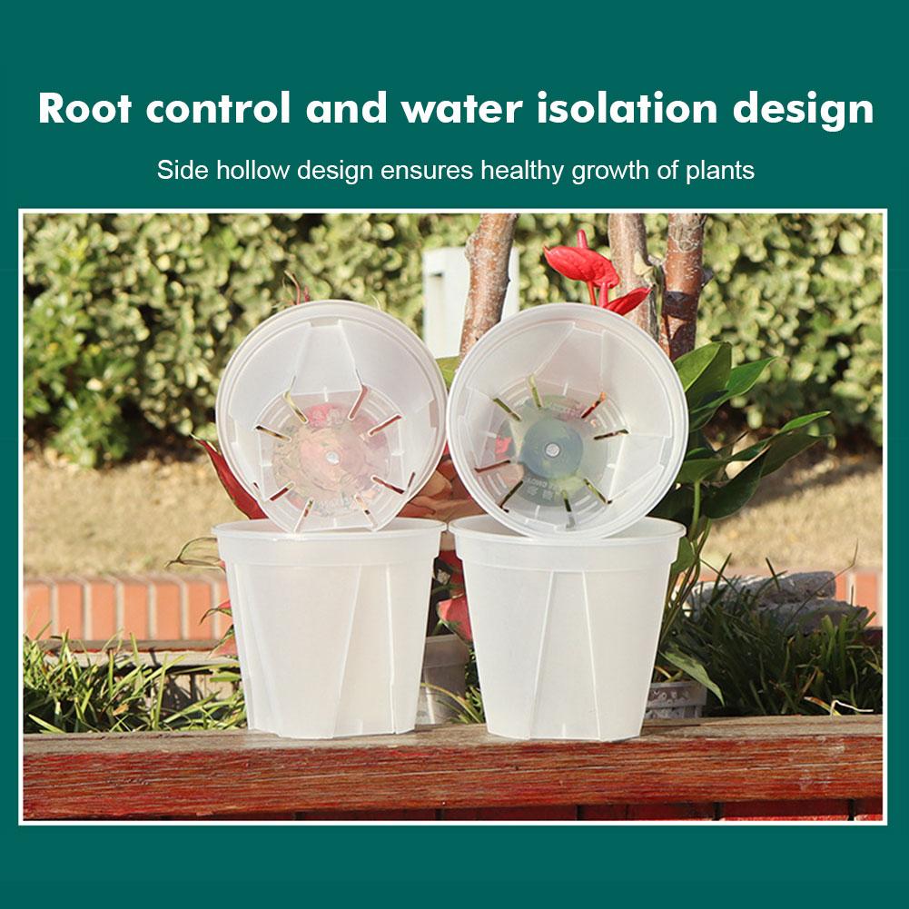 Przezroczyste plastikowe donic – Desk Setup Plant recenzja i cena